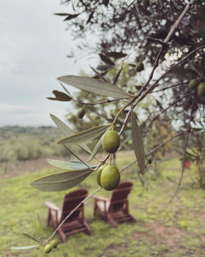 La Falconara Montepulciano Exterior photo